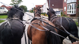 Fahrt