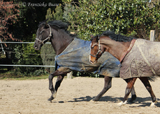 Jacko und Gismo