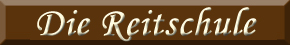 Der Reitschulbetrieb